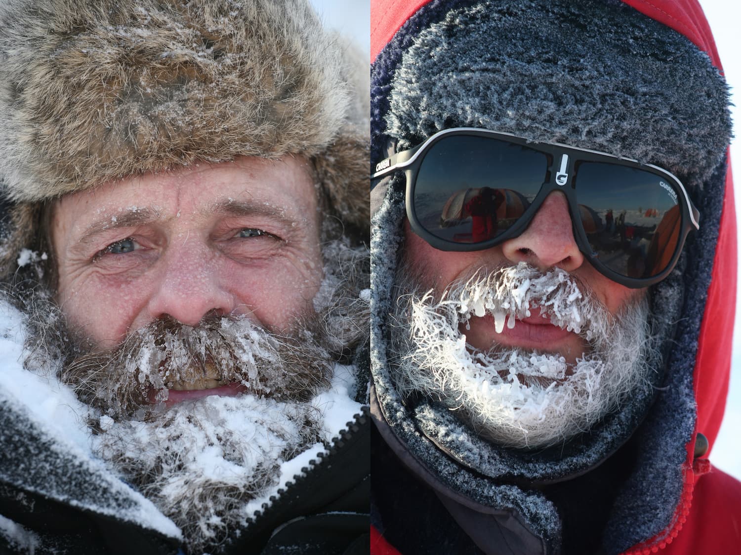 Œuvre de Francis Latreille : Taranautes en arctique