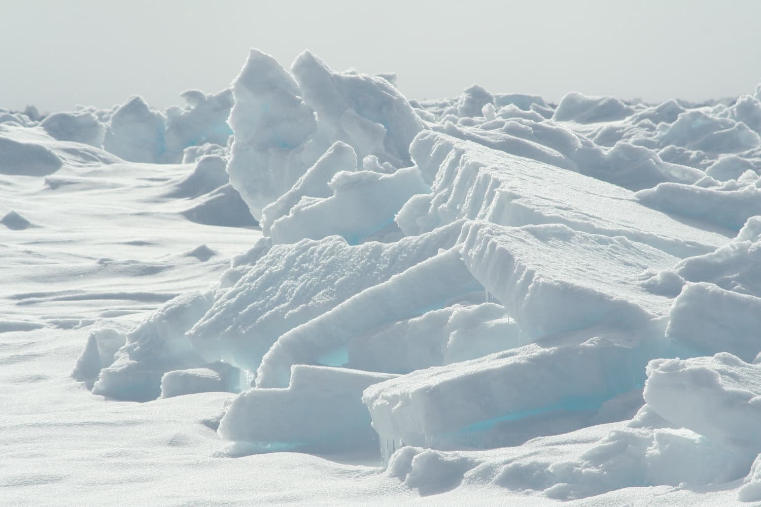 Tara Arctic : la banquise