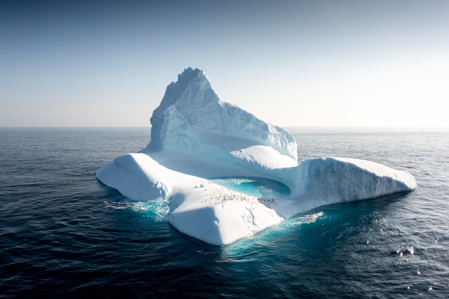 Iceberg en Antarctique 2022