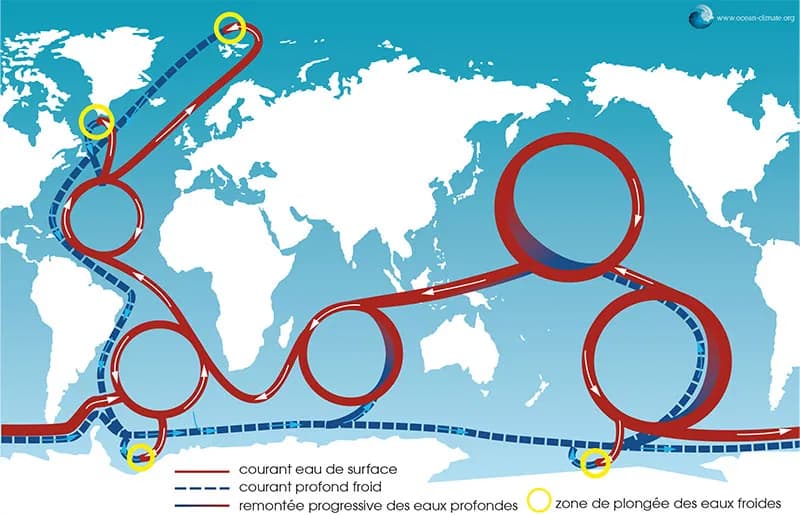 Schéma simplifié de la circulation océanique globale (source : Plateforme Océan Climat)
