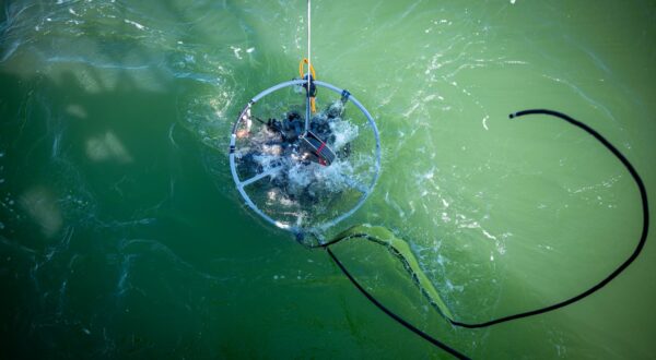 Mise à l'eau de la rosette au large du fleuve Orange