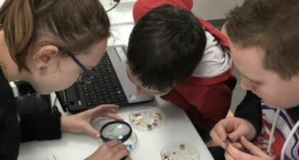 Séance de tri dans le Collège André Siegfried de l’académie de Normandie